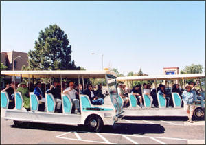Clarice's Love Bug Trams